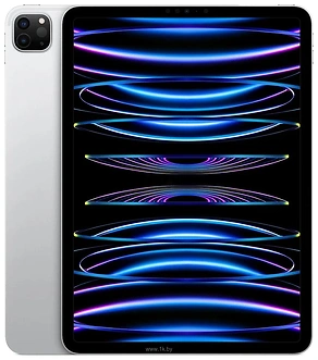 Apple () iPad Pro 11 (2022) 1TB Wi-Fi