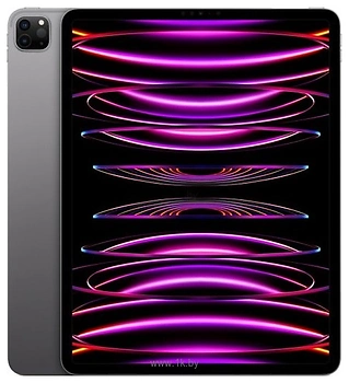 Apple () iPad Pro 12.9 (2022) 2Tb