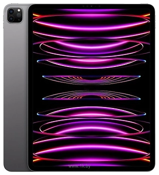 Apple () iPad Pro 12.9 (2022) 5G 128GB