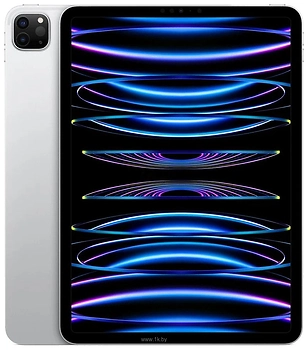 Apple () iPad Pro 11 (2022) 2TB Wi-Fi