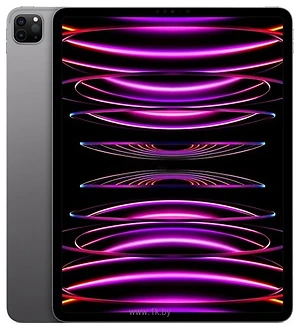 Apple () iPad Pro 12.9 (2022) 128GB