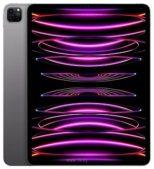 Apple () iPad Pro 12.9 (2022) 256GB