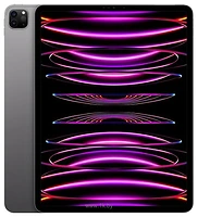 Apple () iPad Pro 12.9 (2022) 256GB