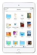 Apple () iPad mini (2019) 256Gb Wi-Fi + Cellular