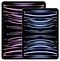 Apple () iPad Pro 12.9 (2022) 1Tb