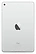 Apple () iPad mini (2019) 256Gb Wi-Fi