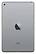 Apple () iPad mini (2019) 256Gb Wi-Fi