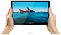 Lenovo () Tab K10 TB-X6C6F 64GB ZA8N0012RU