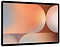 Samsung () Galaxy Tab S10+ SM-X820 12/512GB