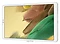 Samsung () Galaxy Tab A7 Lite LTE SM-T225 32GB
