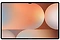 Samsung () Galaxy Tab S10 Ultra SM-X920 16/1024GB