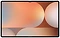 Samsung () Galaxy Tab S10 Ultra SM-X920 12/256GB
