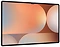 Samsung () Galaxy Tab S10 Ultra SM-X920 12/256GB
