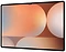 Samsung () Galaxy Tab S10 Ultra SM-X920 12/256GB