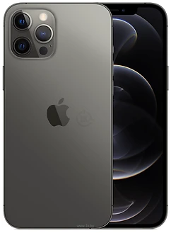 Apple () iPhone 12 Pro Max 256GB