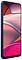 Blackview () Color 8 8/256GB