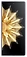 HONOR () Magic V2 16/512GB