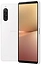 Sony () Xperia 10 V XQ-DC72 6/128GB